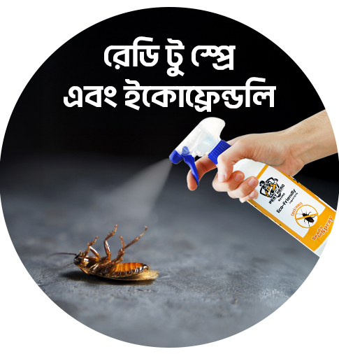 ছারপোকা নির্মূল স্প্রে